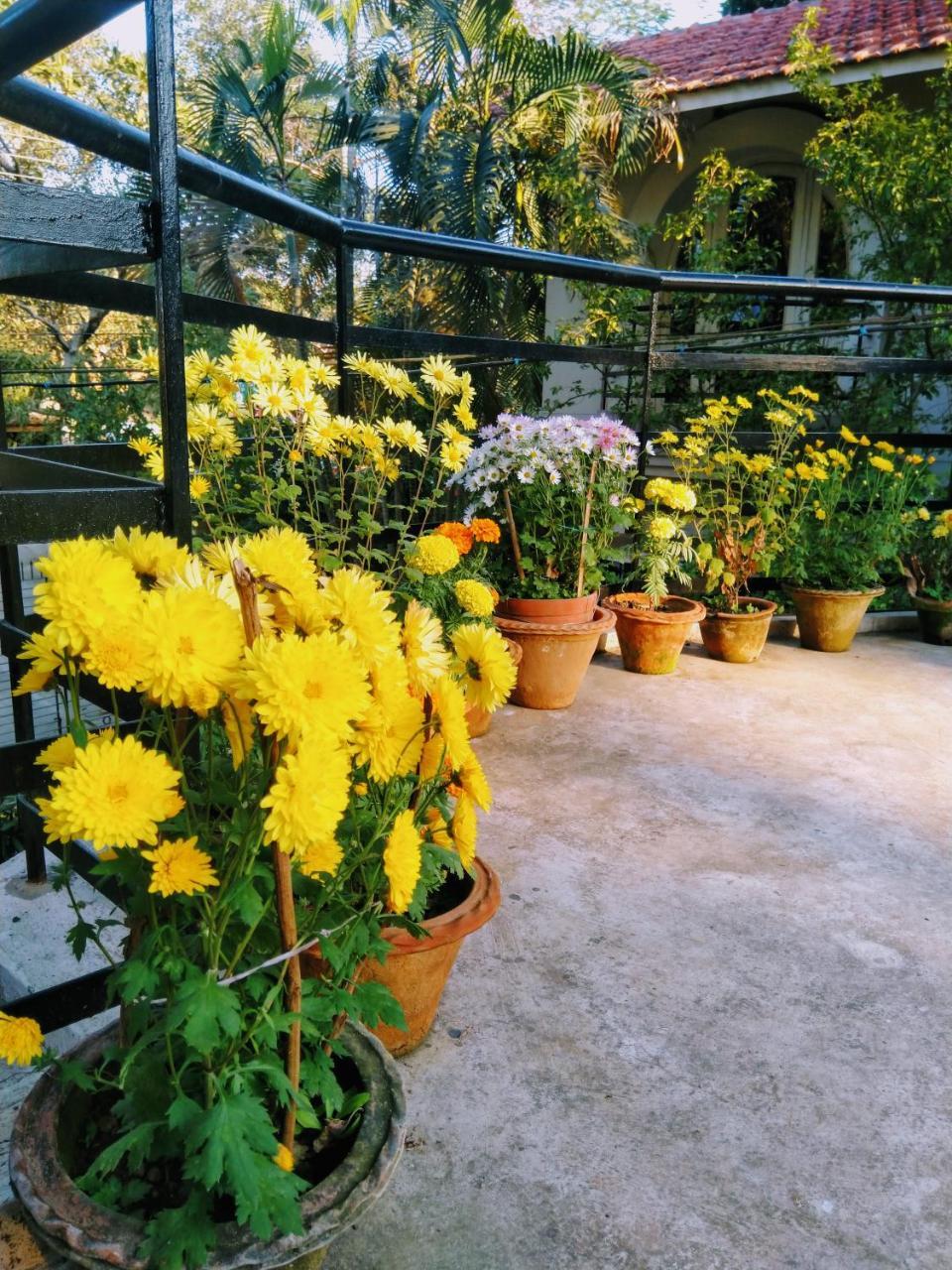 Chaiti Eco Homestay- Santiniketan Bolpur Exterior foto